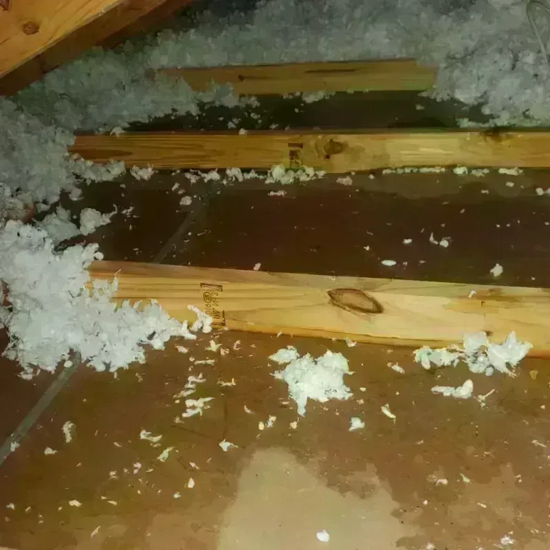 Attic Water Damage in Levittown, PA